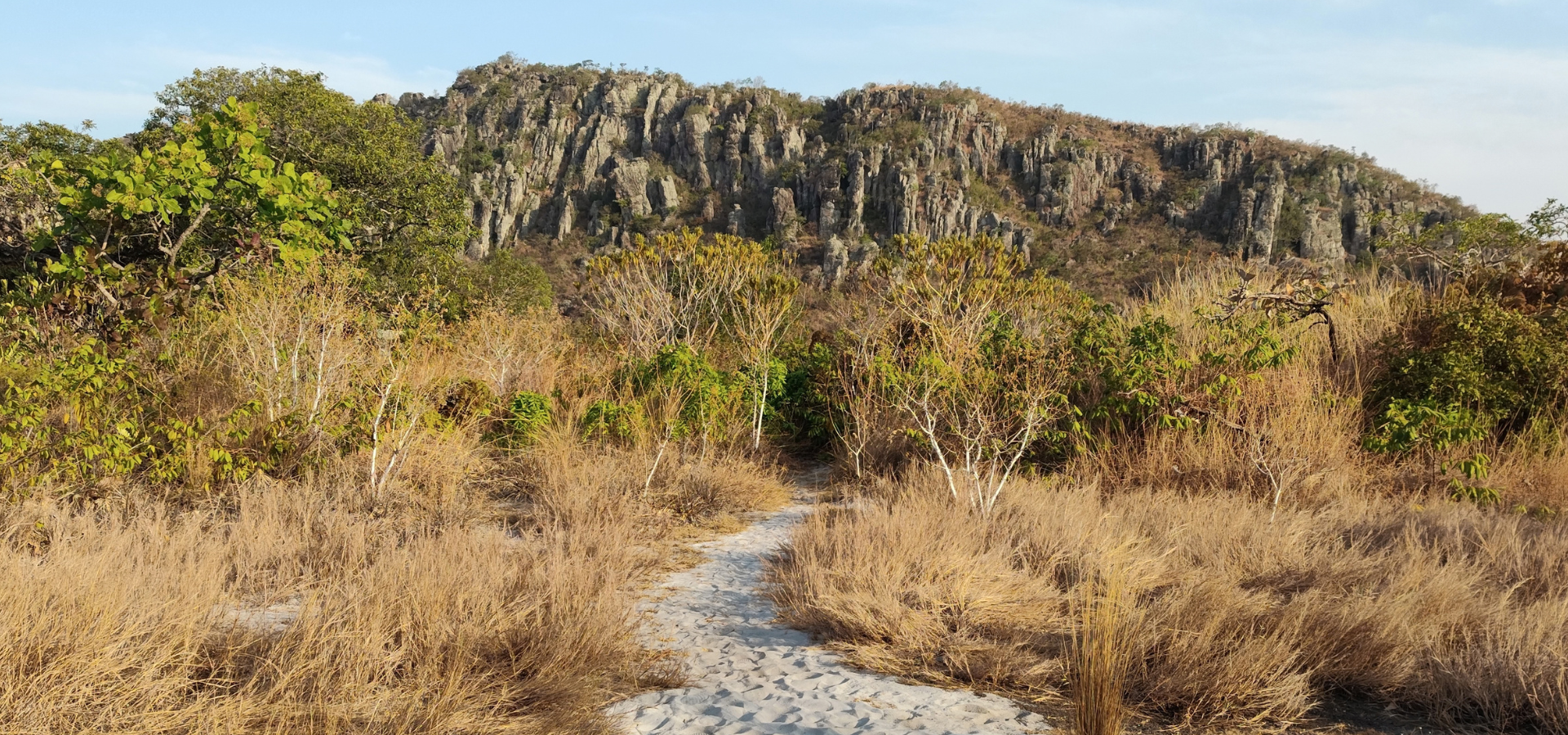Banner contendo montanha chamada morro do cabeludo